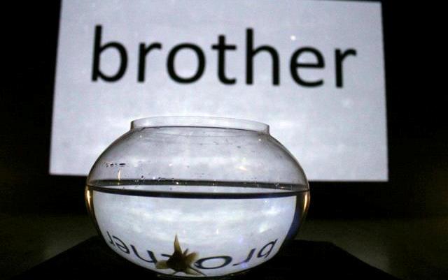 qui-es-tu? tu-me-tues