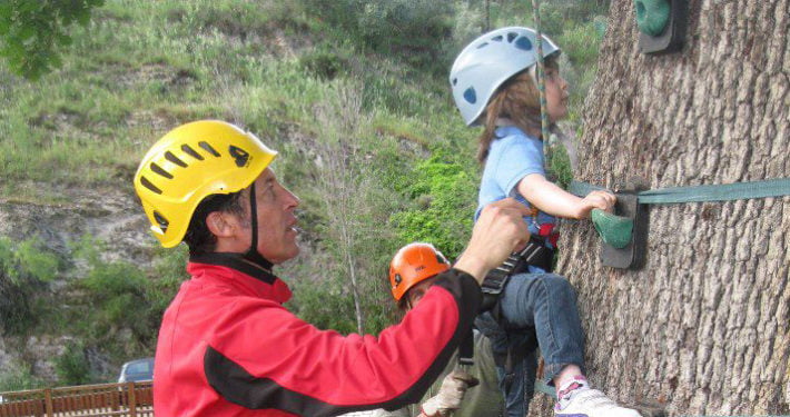 Alberi per gioco | Alberi Maestri per signori bambini