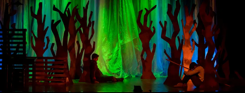 IL SEGRETO DEL BOSCO VECCHIO