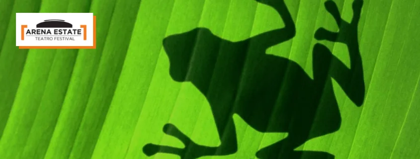 IL TEOREMA DELLA RANA
