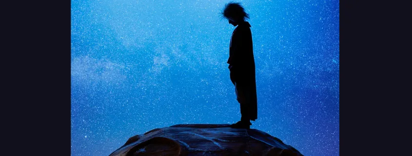 IL PICCOLO PRINCIPE E IL SUO UNIVERSO