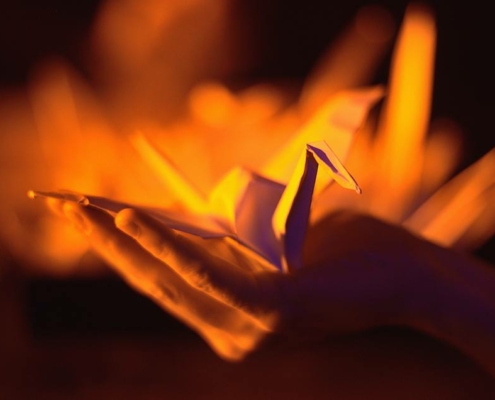 Aligaspù ph Edoardo Lomazzi (2)