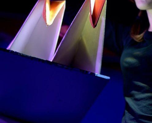 Aligaspù ph Edoardo Lomazzi (4)