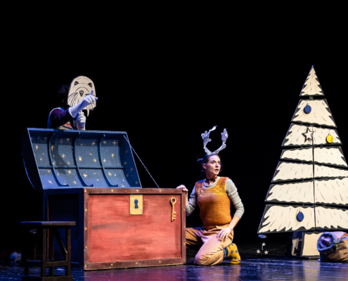 Il baule di natale_Teatro del Buratto_CamillaCanalini_13A0408