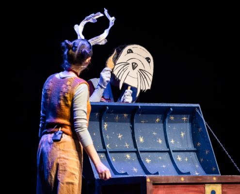 Il baule di natale_Teatro del Buratto_CamillaCanalini_13A0438
