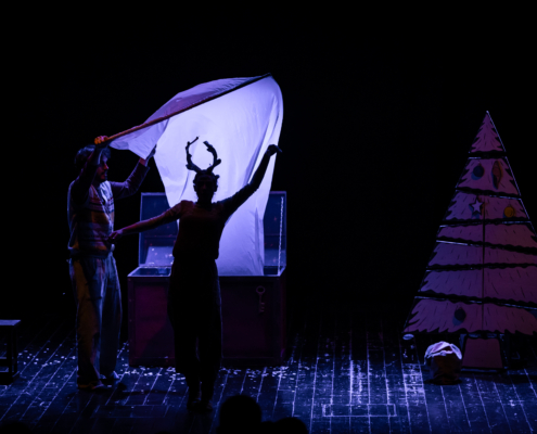 Il baule di natale_Teatro del Buratto_CamillaCanalini_13A0471