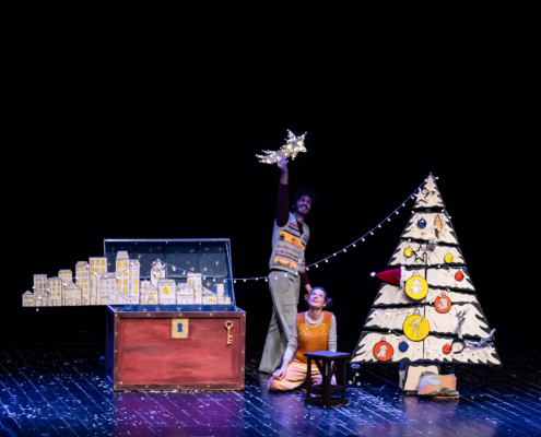 Il baule di natale_Teatro del Buratto_CamillaCanalini_13A0964