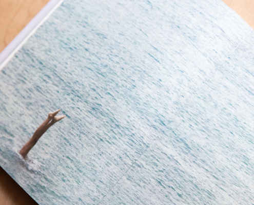 16 gen 1 marzo mostra io sono il bosco_ ph Futura Tittaferrante (3)