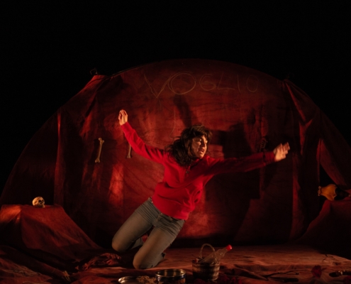 Foto 10_Nella pancia del lupo_ph Tea Primiterra