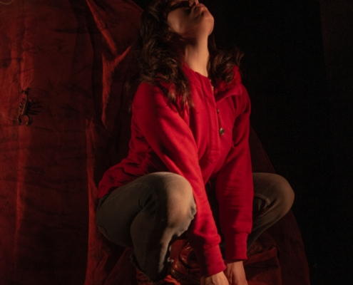 Foto 4_Nella pancia del lupo_ph Tea Primiterra