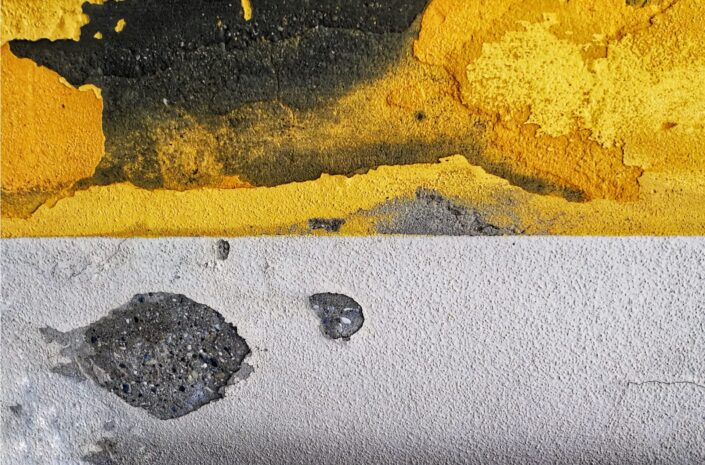 Immagine-copertina-proposta-1-e1762454063929-705x465