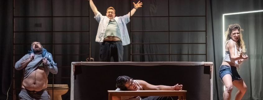 BREVE APOLOGIA DEL CAOS PER ECCESSO DI TESTOTERONE NELLE STRADE DI MANHATTAN